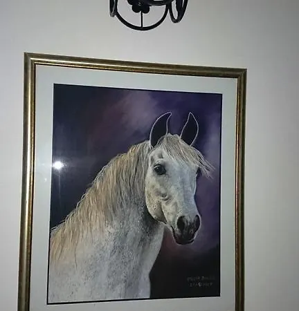 Zlatiborski Pastuv 农家乐 兹拉蒂博尔